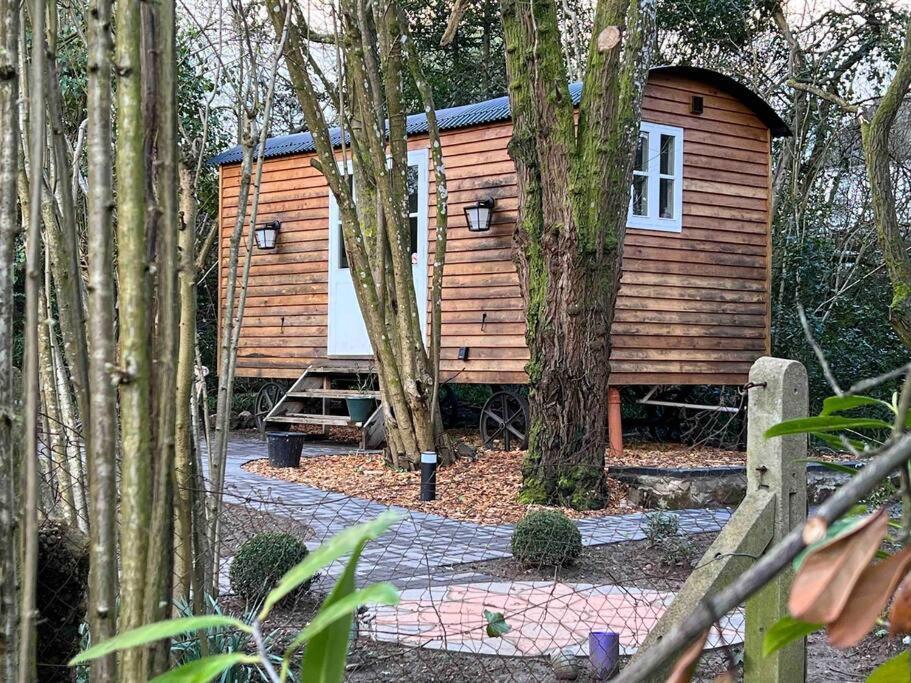 Tranquil Spot Shepherds Hut Cinderford Dış mekan fotoğraf