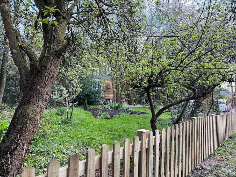 Tranquil Spot Shepherds Hut Cinderford Dış mekan fotoğraf